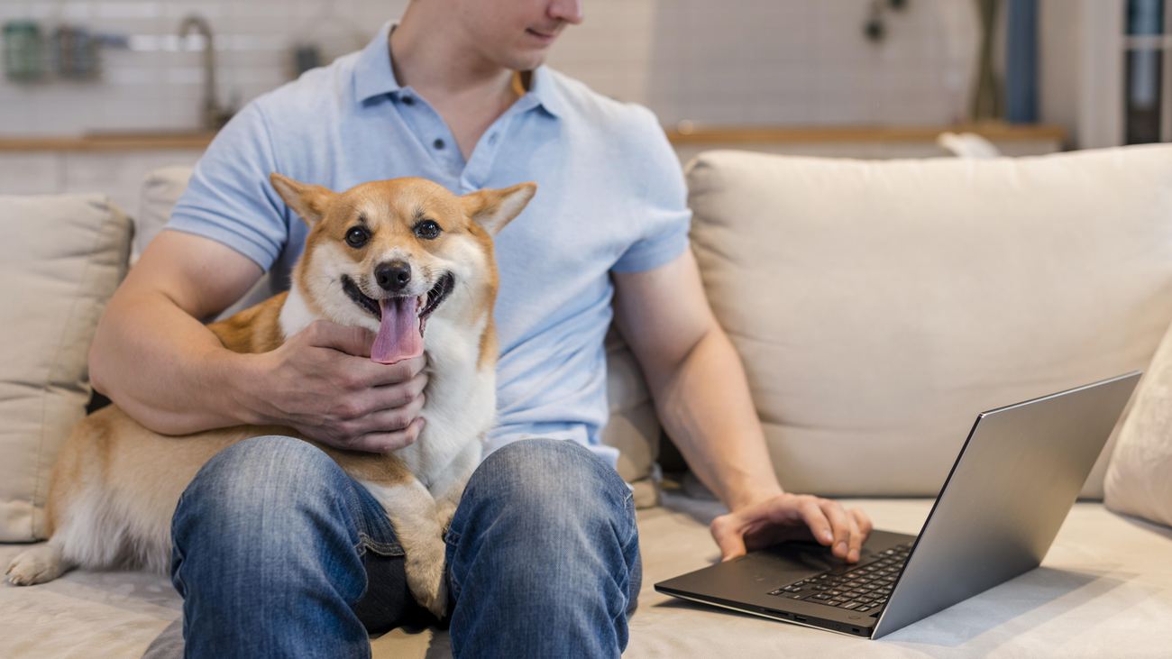 How to get a psychiatric service dog PSD letter from a licensed mental health professional online